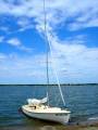 Whitecap Sailboat by Lockley Newport